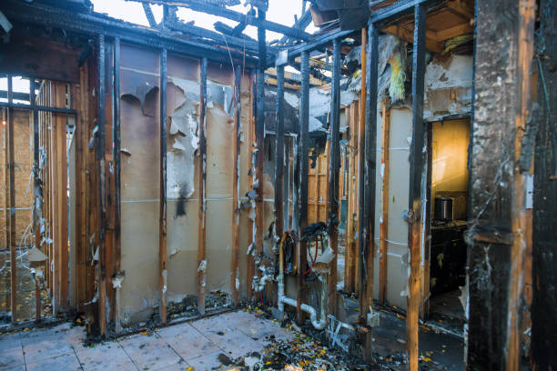 Professional Fire Damage Removal technician working in Sumner, IL